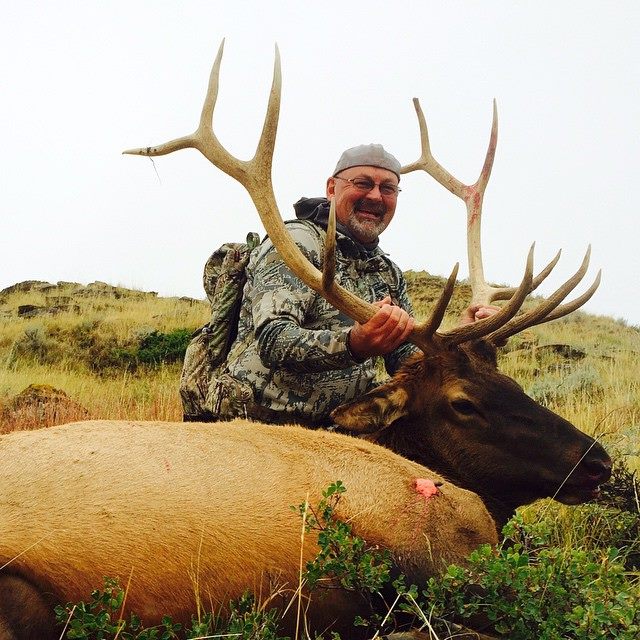 guided elk hunting trips in montana