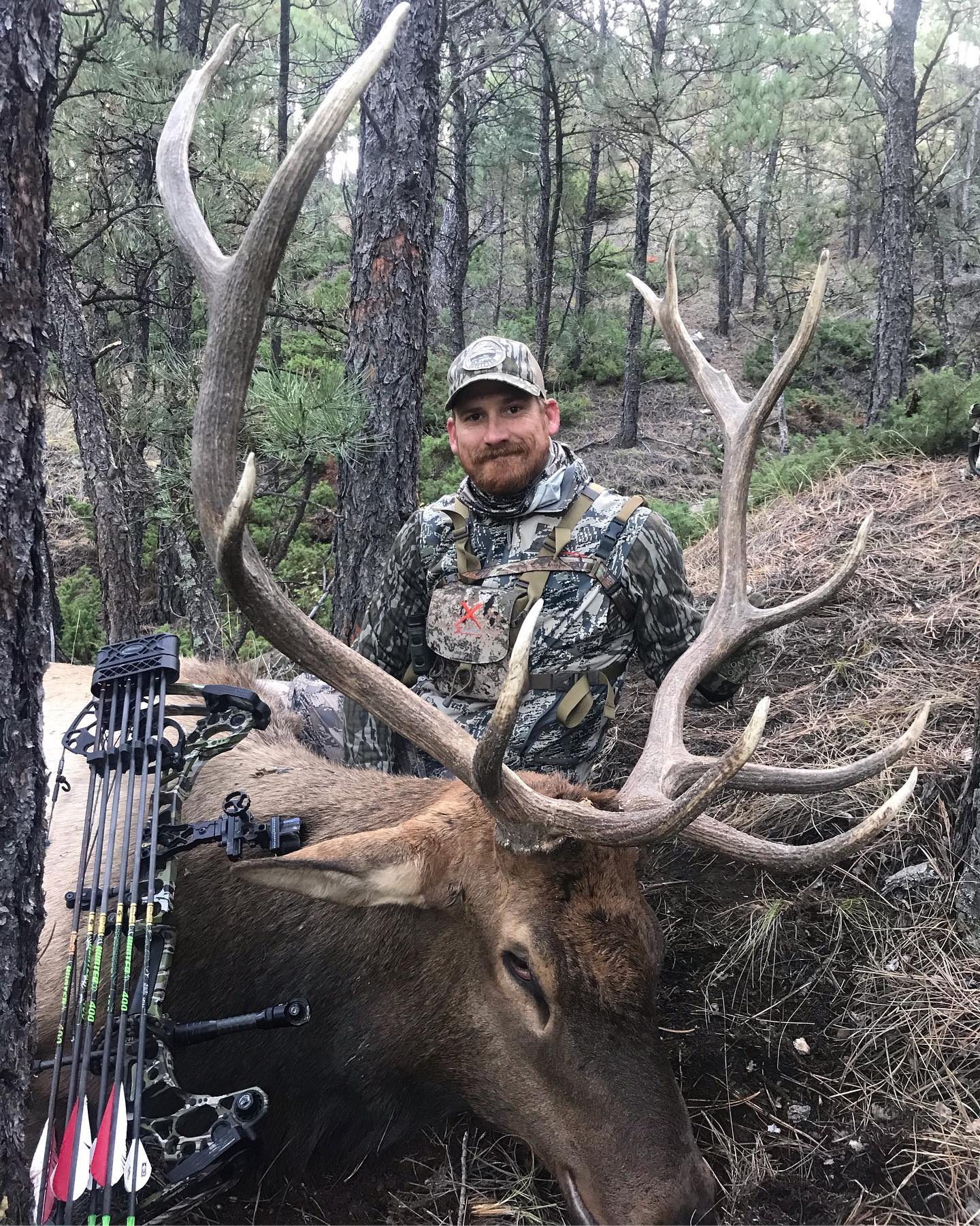 cabela's elk hunting trips